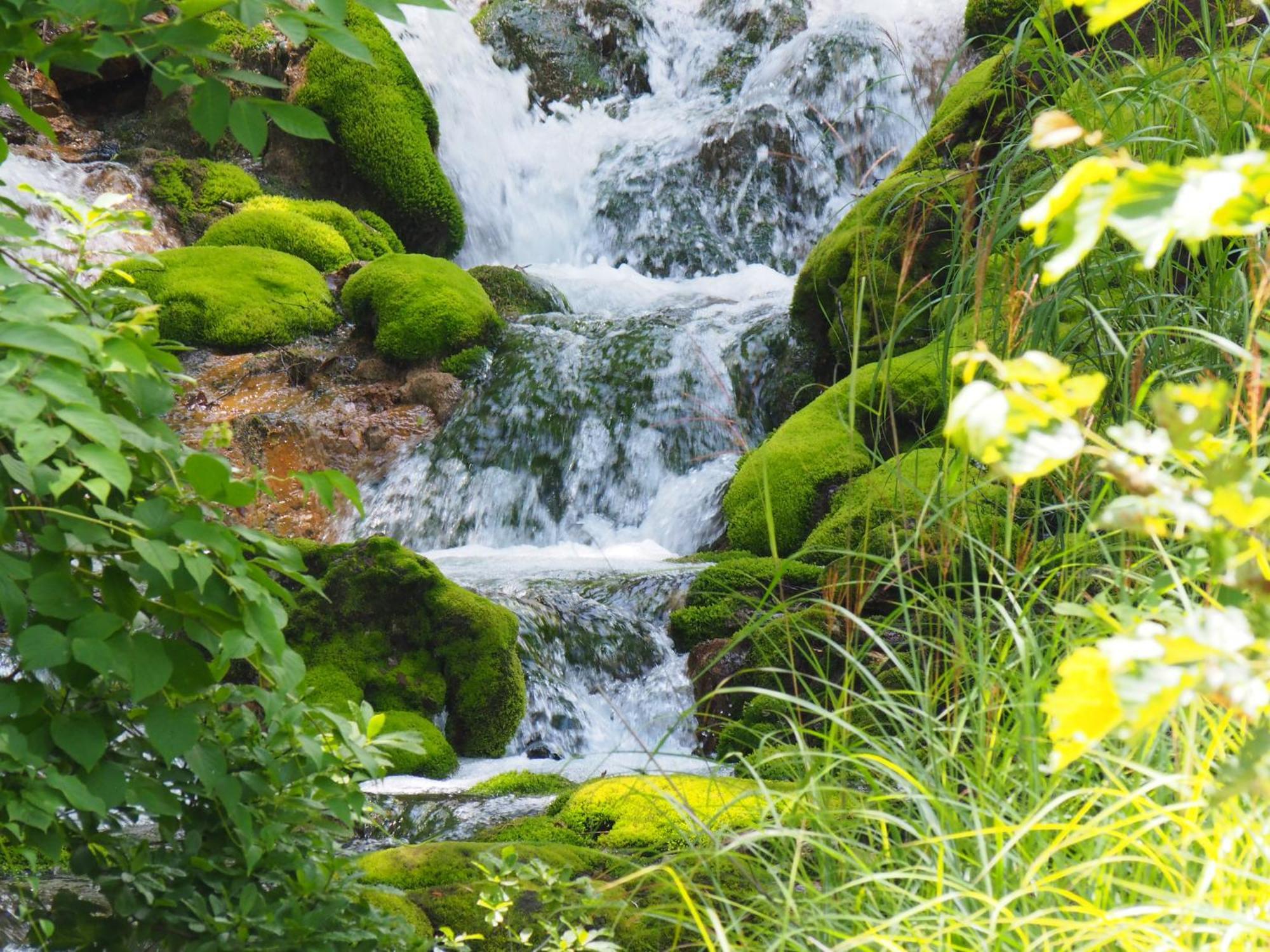Buna Kusatsu Onsen Inn Экстерьер фото